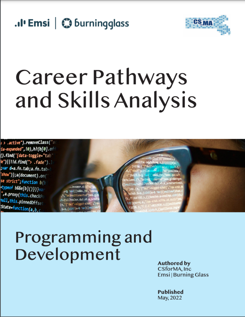 Programming and Development Career Pathways and Skills Analysis